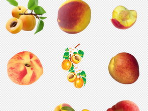 新鮮水蜜桃 美味與設(shè)計(jì)的完美結(jié)合